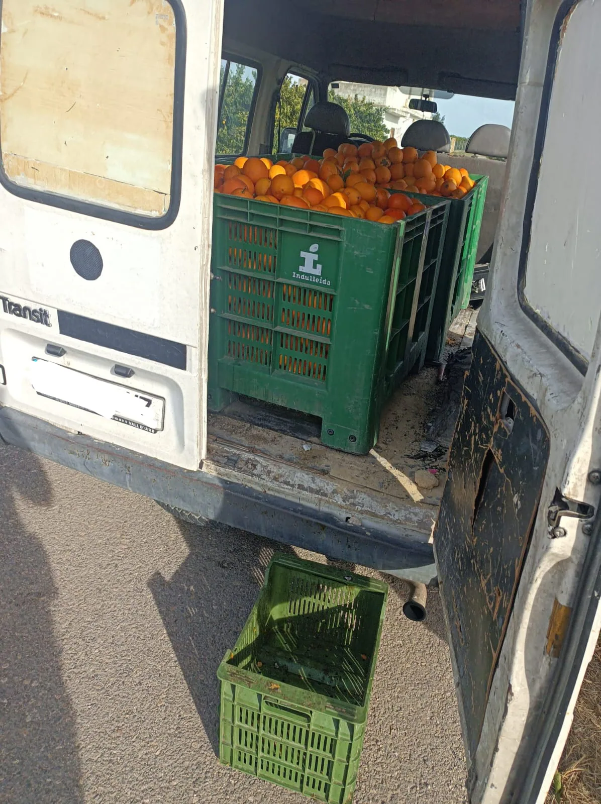 La Polic A Local De Algemes Recupera Kilos De Naranjas Robadas